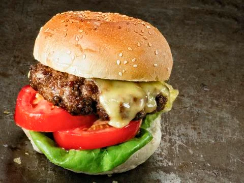 Rustic american hamburger Stock Photos