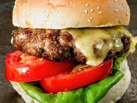 Rustic american hamburger Stock Photos