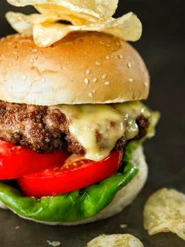 Rustic american hamburger Stock Photos