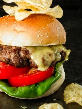 Rustic american hamburger Stock Photos