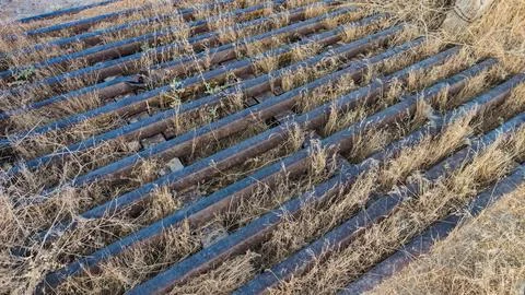 A Rustic and Weathered Metal Cattle Guard Covered in Dry Weeds and Grass Fotos Stock
