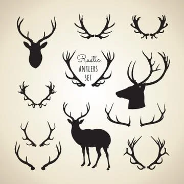Rustic Antlers Set Stock Illustration