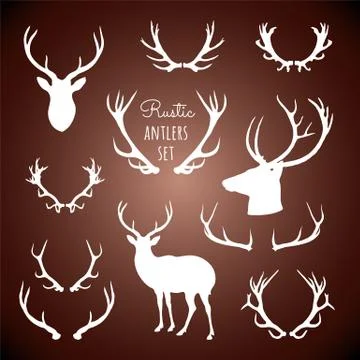 Rustic Antlers Set Stock Illustration