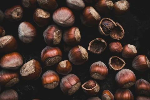 Rustic Arrangement of Hazelnuts Highlighting Natural Shells and Warm Tones Stock Photos