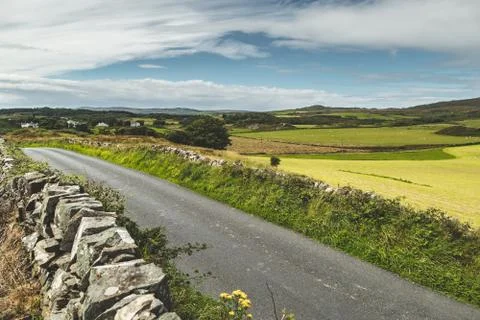 Rustic asphalt road and field nothern ireland 库存照片