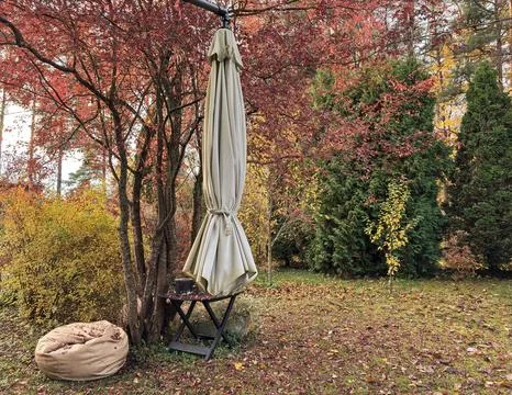 Rustic Autumn Backyard Scene with Closed Patio Umbrella and Colorful Foliage Stock Photos