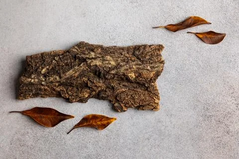 Rustic Autumn Composition with Bark and Fallen Leaves on Gray Surface - Nat.. Stock Photos
