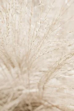 Rustic autumn field Stock Photos