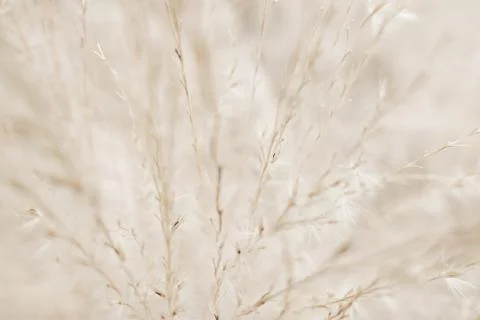 Rustic autumn field Stock Photos