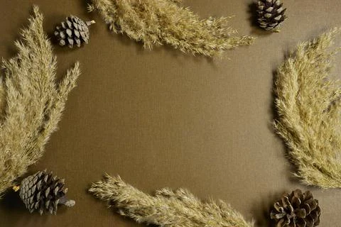 Rustic Autumn Frame Of Pampas Grass And Pine Cones For Warm Decorative Images Stock Photos