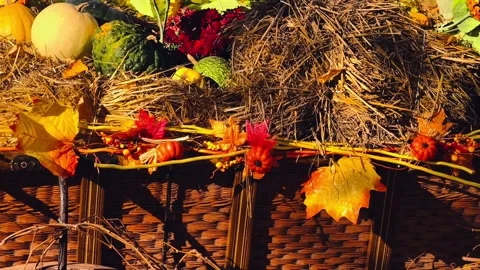 Rustic Autumn Harvest Display with Pumpkins, Hay Bales. 4K Video  Stock Footage 319545534