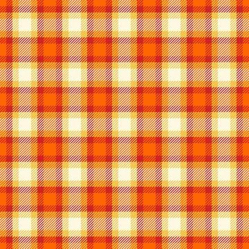Rustic autumn plaid pattern bundle inspired by harvest mood. The enhances c.. 库存插图
