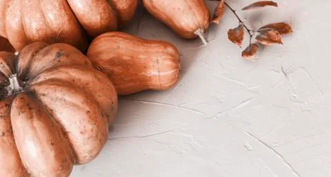 Rustic autumn pumpkins Stock Photos