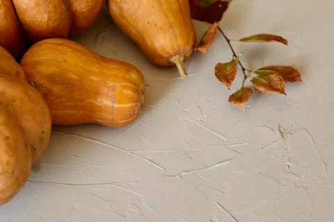 Rustic autumn pumpkins Stock Photos