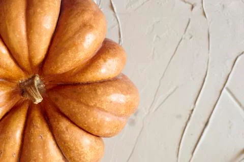 Rustic autumn pumpkins Stock Photos