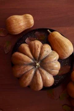 Rustic autumn pumpkins Stock Photos