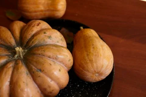 Rustic autumn pumpkins Stock Photos