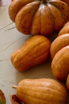 Rustic autumn pumpkins Stock Photos