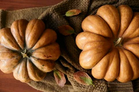 Rustic autumn pumpkins Stock Photos