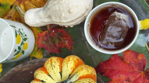 Rustic autumn still life with pumpkins, berries, cozy blankets, and fall leaves  Video stock 318078472