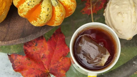 Rustic autumn still life with pumpkins, berries, cozy blankets, and fall leaves  Stock Footage 318078944