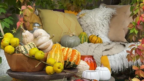 Rustic autumn still life with pumpkins, berries, cozy blankets, and fall leaves  Stock Footage 318078984