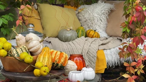 Rustic autumn still life with pumpkins, berries, cozy blankets, and fall leaves  Stock Footage 318079470