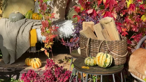 Rustic autumn still life with pumpkins, berries, cozy blankets, and fall leaves  Stock Footage 318083737