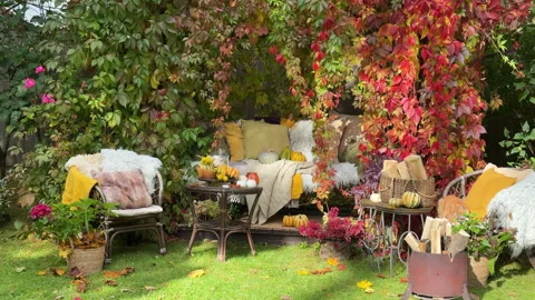 Rustic autumn still life with pumpkins, berries, cozy blankets, and fall leaves  Stock Footage 318085617