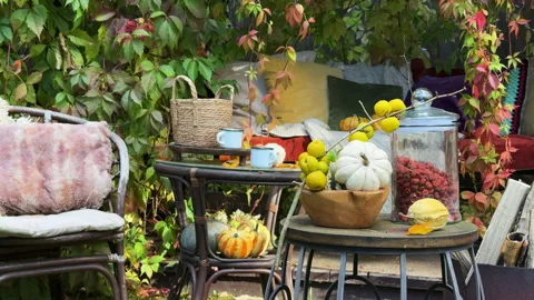 Rustic autumn still life with pumpkins, berries, cozy blankets, and fall leaves  Stock Footage 318086595