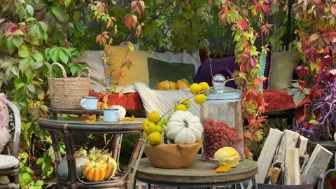 Rustic autumn still life with pumpkins, berries, cozy blankets, and fall leaves  Stock Footage 318086770