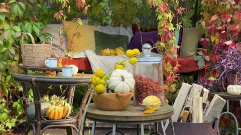 Rustic autumn still life with pumpkins, berries, cozy blankets, and fall leaves  Stock Footage 318086813