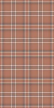 Rustic autumnal plaid pattern in warm terracotta and muted grey.  Perfect for 库存插图