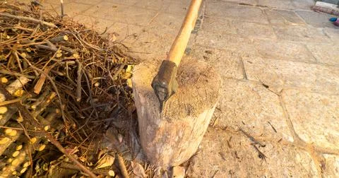 Rustic Axe Embedded in a Wooden Log with Firewood Nearby Stock Photos
