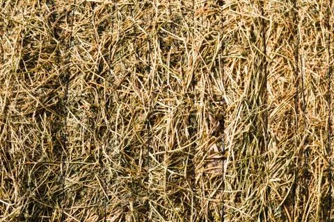 Rustic background with alfalfa bale texture in the field Stock Photos
