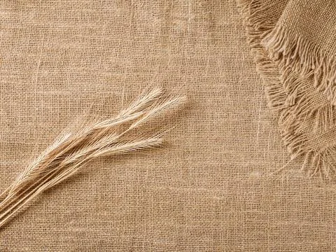 Rustic Background: Barley Ears and Burlap Napkin with Space for Text Stock Photos
