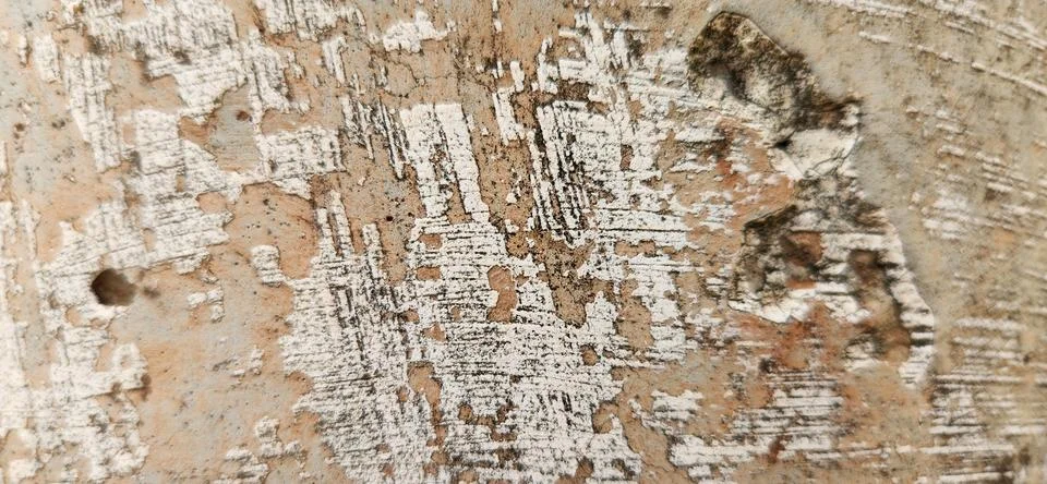 Rustic background with dark cement texture Stock Photos
