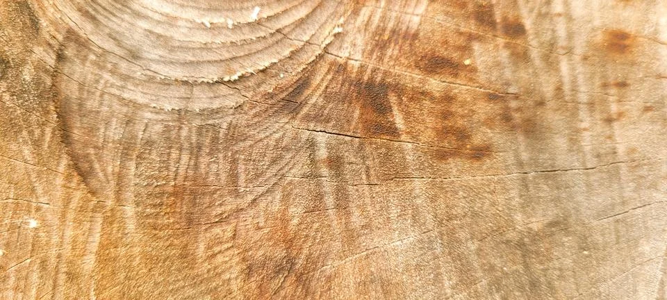 Rustic background made of cut log wood Stock Photos