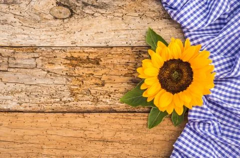 Rustic background for Oktoberfest Stock Photos