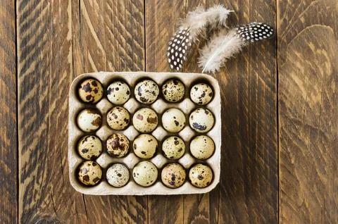 Rustic background. quail small eggs in a box in cells with feathers. top vi.. Stock Photos