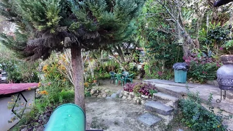 Rustic backyard barbecue smoker and stone steps in lush tropical garden patio Stock Footage 332428998