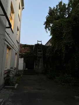 Rustic Backyard Scene with Ivy-Covered Walls at Dusk Stock Photos