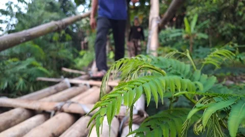 Rustic bamboo bridge 動画素材 243418064