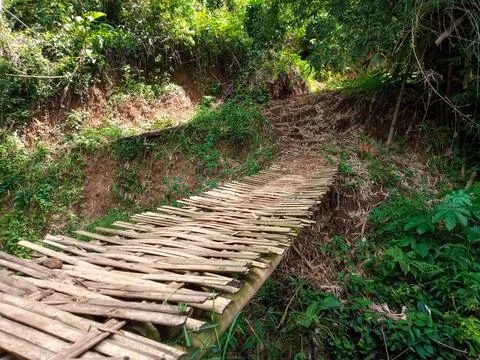 Rustic Bamboo Bridge in Nature Foto stock