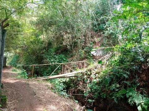 Rustic Bamboo Bridge in Nature Foto stock