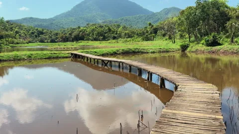 Rustic Bamboo Bridge Over River with Mountain and Jungle Landscape, Hoi An Stock Footage 334117452