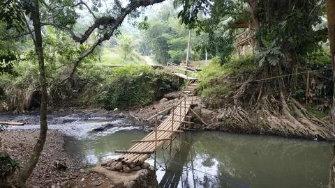 Rustic Bamboo Bridge Over Stream in Lush Forest Stock Photos