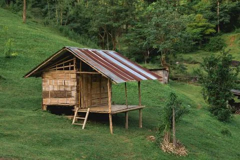 Rustic Bamboo House Surrounded by Lush Greenery in Rural Landscape, Natural.. Stock Photos