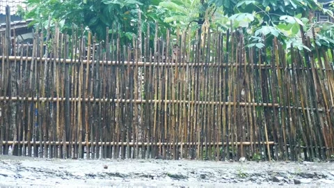 Rustic bamboo stick fence bordering a lush green garden in a rural village Stock Footage 339994135