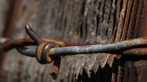 Rustic Barb Wire C/U Stock Footage 108457982